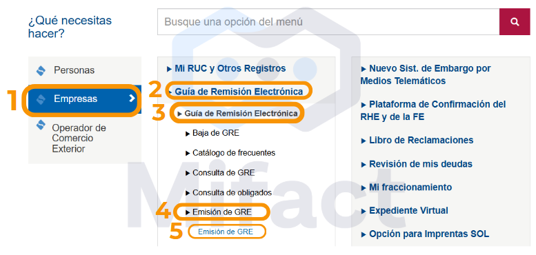 C Mo Emitir Una Gu A De Remisi N Para Importaci N Desde Sunat